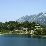 Cvijanovic * 플로체
