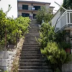 Cvijanovic 플로체