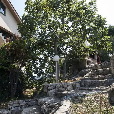Cvijanovic